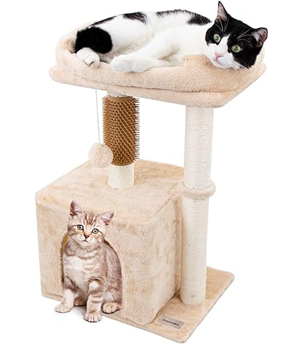 ねこ（2点） Amazon.co.jp: Isaac Trading ドアのむこうに猫がいます